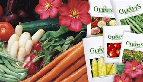 gurneys seed&nursery